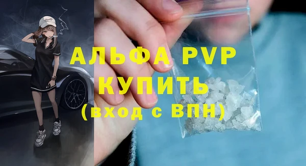 дживик Белокуриха