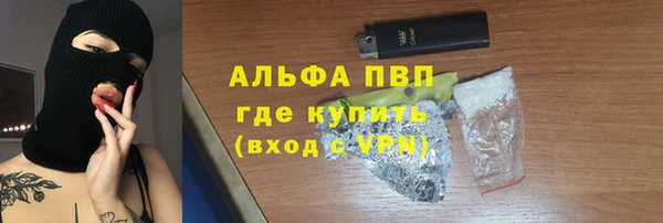 дживик Богородицк