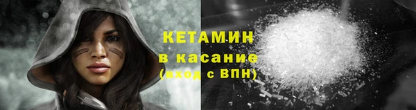 прущие грибы Богданович