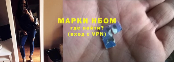 дживик Богородицк