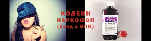 дживик Богородицк