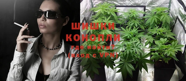 СК Богородск