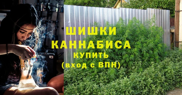 СК Богородск