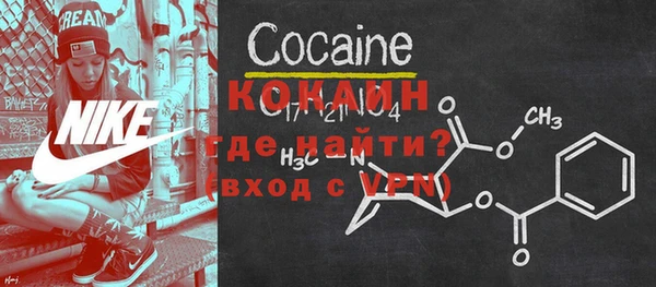 СК Богородск
