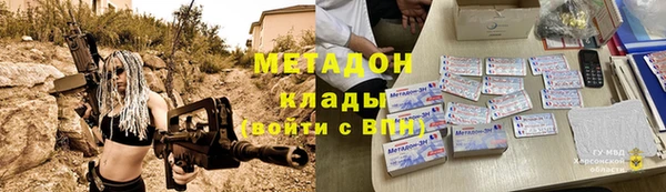 прущие грибы Богданович
