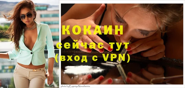 дживик Белокуриха