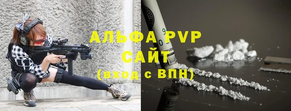 дживик Белокуриха