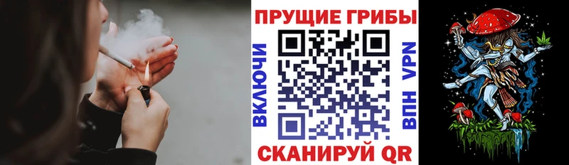 Галлюциногенные грибы GOLDEN TEACHER  что такое наркотик  Белинский 